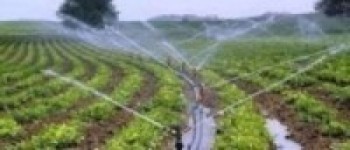 खाद्यका लागि कृषि अभियान   