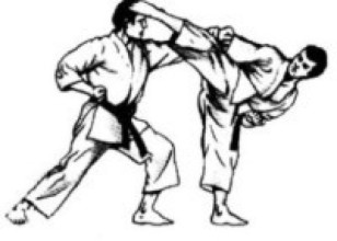 अफताब र प्रिन्सलाई स्वर्ण   