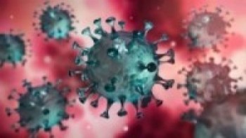 Humla records 11 new coronavirus infection cases  