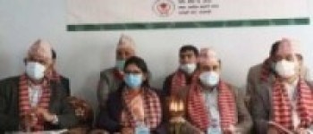 कृषि–बीउ, तरकारी तथा फलफूल केन्द्रीय सहकारी सङ्घका अध्यक्षमा पराजुली