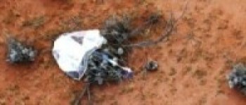 क्षुद्रग्रहबाट सङ्कलन गरिएको चट्टानको नमुना अध्ययनका लागि जापान पठाइयो   