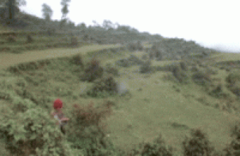 चिसापानी बजारको सार्वजनिक जग्गा व्यक्तिको नाममा   