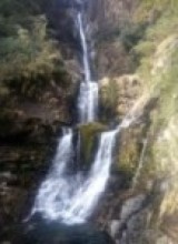 पर्यटकको मन जित्दै फुङफुङ्गे होमस्टे