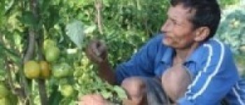 फरक क्षमताका खत्री गाउँकै अगुवा कृषक  