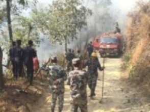   तीन दिनपछि आगो नियन्त्रणमा   