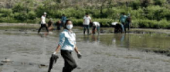 महाशिवरात्रिअघि पछिका शनिबारको वाग्मती सफाइ पशुपति क्षेत्र केन्द्रित   