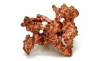 जङ्गलमै पुरिए म्याग्दीका तामाखानी   