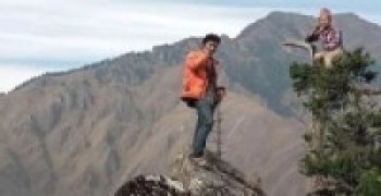 फोन गर्न रुखका टुप्पामा !   