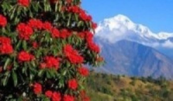 ‘लेखनाथ खाष्टेताल जाऔँ प्रकृति र संस्कृतिमा रमाऔँ’