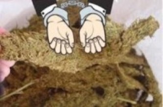 पन्ध्र केजी गाँजासहित एक पक्राउ   