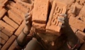 जग्गा बेचेर ऋण तिर्न थाले इँटा व्यवसायीले   