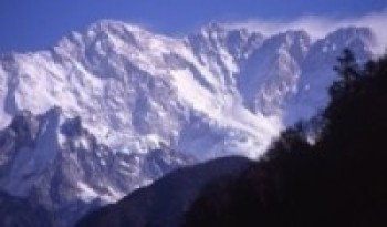 कञ्चनजङ्घा संरक्षण क्षेत्रमा नाउरको सङ्ख्या बढ्दो   