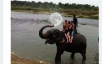 संरक्षण क्षेत्रमा खटिएका यी हस्ती