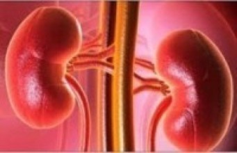 छोरालाई मिर्गौला दान दिने तयारीमा कुमारी   