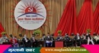 एमालेमा वरिष्ठ उपाध्यक्ष सहित १५ पदाधिकारी रहने   