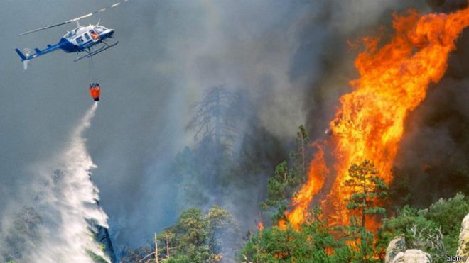 जापानी जङ्गलमा लागेको डढेलो नियन्त्रणका लागि १७ हजार अग्निनियन्त्रक परिचालित