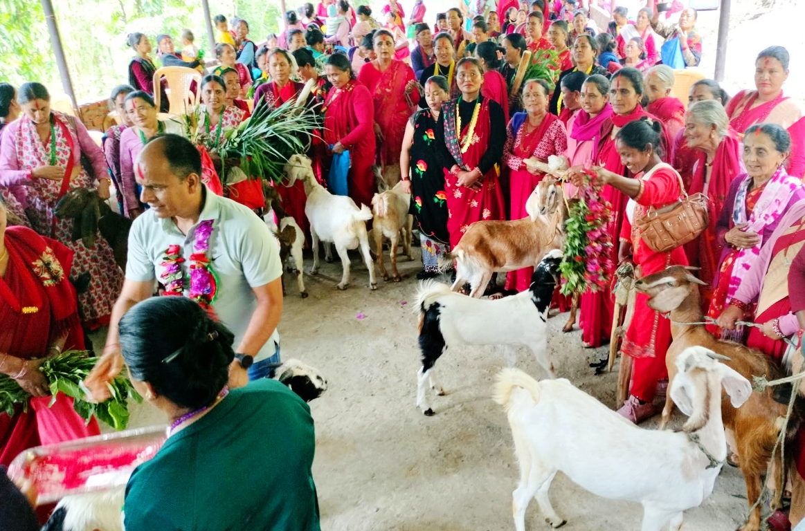 बाख्रा उपहार पाएपछि महिला खुसी