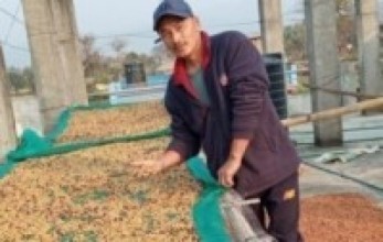 विदेशमा सीप सिकेर स्वदेशमा लगानी