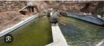 वैदेशिक रोजगारीबाट फर्किएर माछापालन, मासिक डेढ लाख आम्दानी