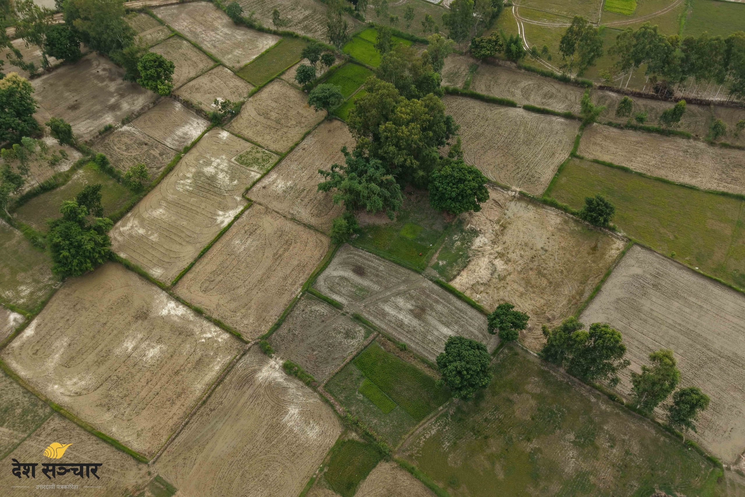 सुख्खा र खडेरी चपेटामा मधेश प्रदेश