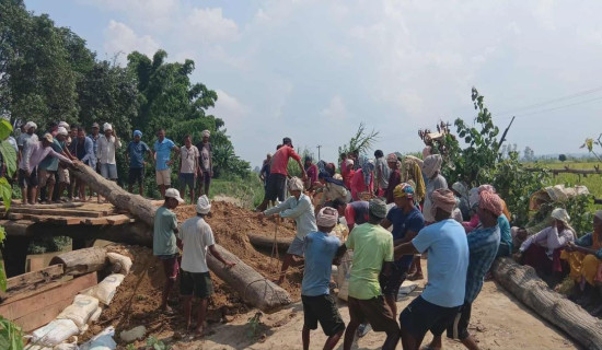 दसैँले छोएन वनहराका भूमिहीनलाई