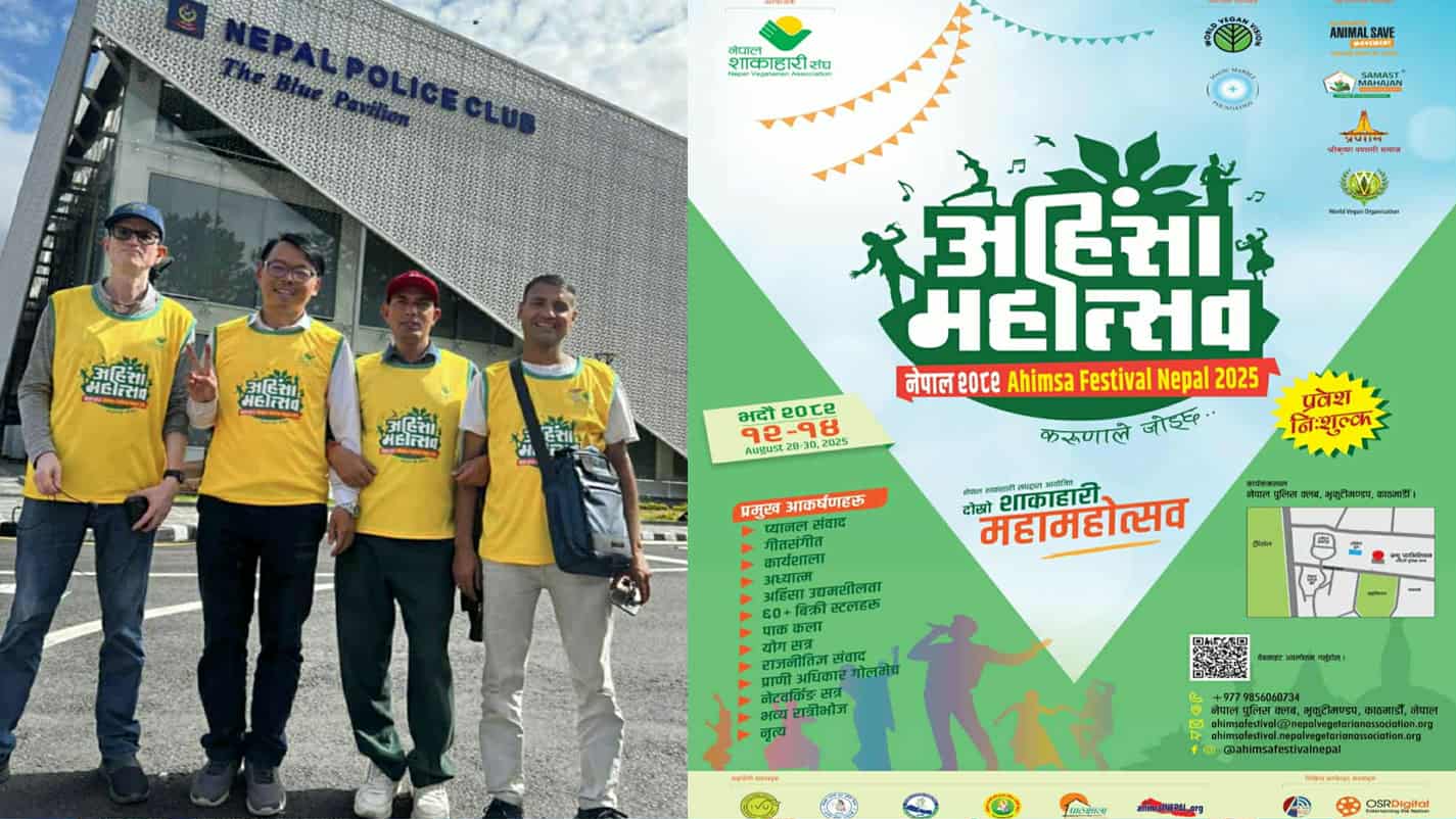 अहिंसा महोत्सवः भूइँकटहरको छालादेखि नक्कली मासुसम्म उपलब्ध