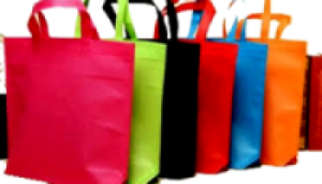 कपडाको झोला बनाउन तालिम    