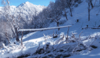 मनाङमा यसवर्षकाे पहिलो हिमपात