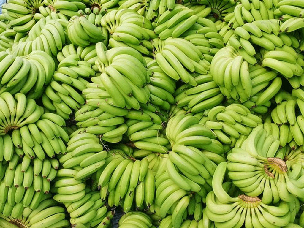 नेपाली केराले नै दसैँ, तिहार र छठ धान्ने, आयात नगर्न अनुरोध