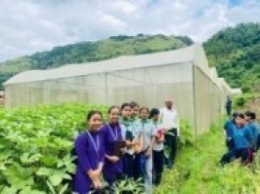 पढाउन छाडेर कृषिकर्म गर्दा