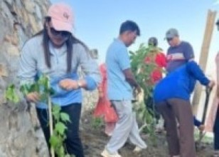 गोकर्णेश्वर वडा नं ९, बहुउद्देश्यीय सामुदायिक भवन कम्पाउन्ड पर्खाल साइडतिर बृक्षारोपण सम्पन्न