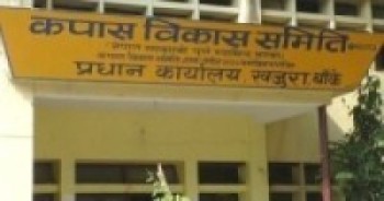 कपास विकास समितिको जग्गा वर्षौँदेखि अतिक्रमण    