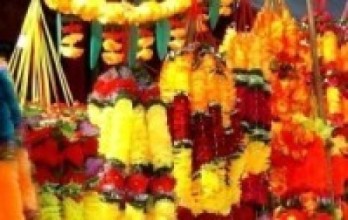 प्लास्टिकका फूल बिक्रीमा रोक