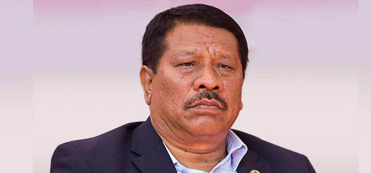 यो सरकार स्थायित्वका लागि हो : उपप्रधानमन्त्री सिंह