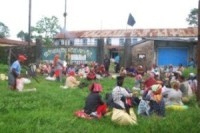 ज्याला वृद्धिको माग राख्दै चिया श्रमिक आन्दोलित