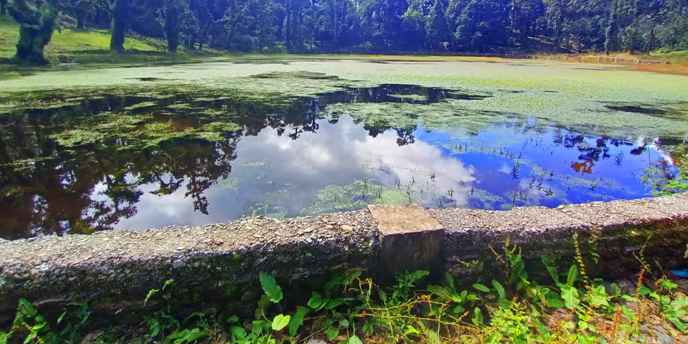 धमाधम सुक्न थाले ताल, संरक्षणमा चुनौती