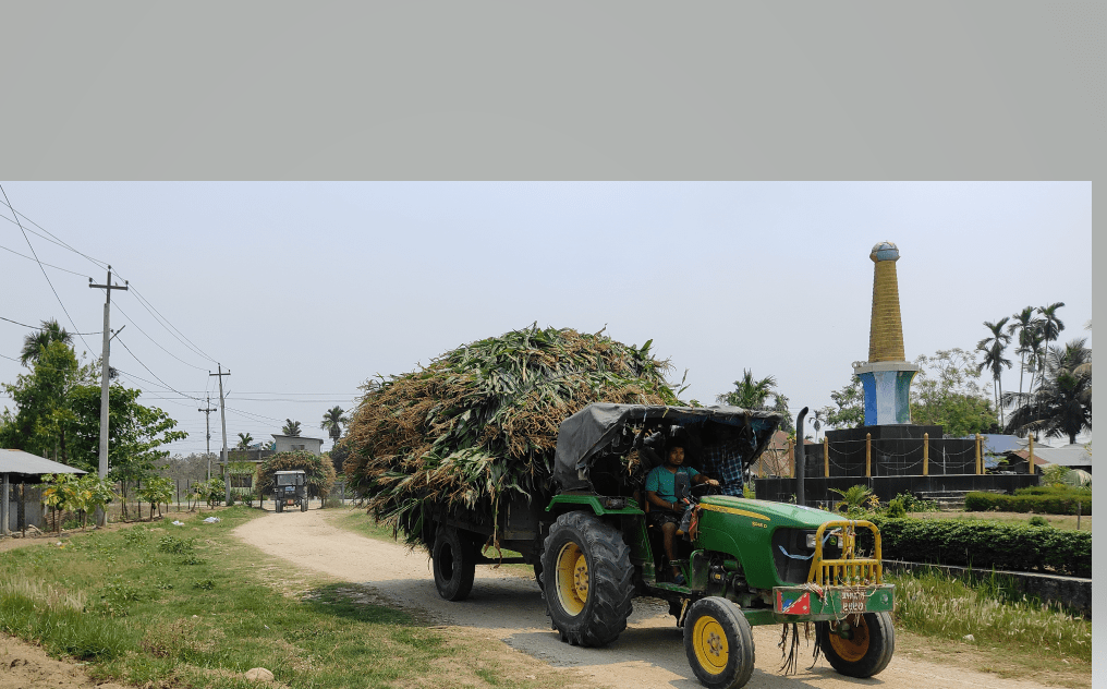 बोटसँगै मकै बिक्री भएपछि किसान उत्साहित