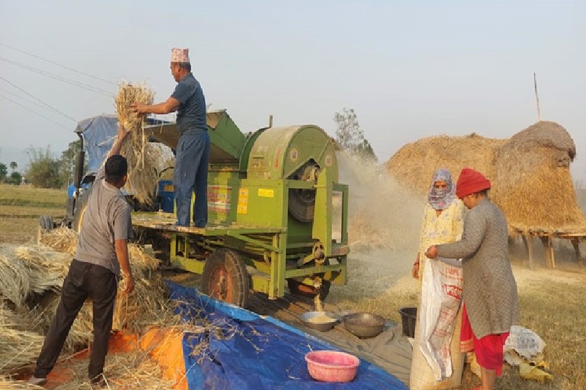 दाङका किसान खेतीमा यन्त्रको प्रयोग बढाउँदै