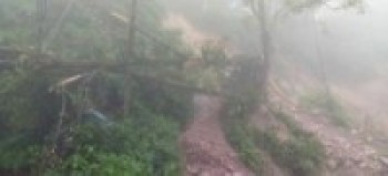 सडकमा पुरिएकी महिलाको उद्धार