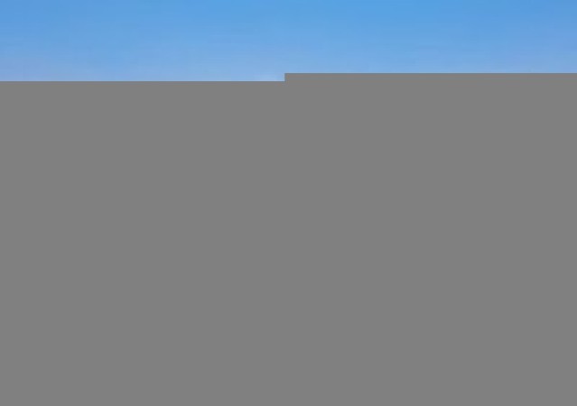 फूलखेतीमा रमाउँदै युवा कृषक