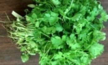 धनियाँ बेचेर वार्षिक तीन लाख