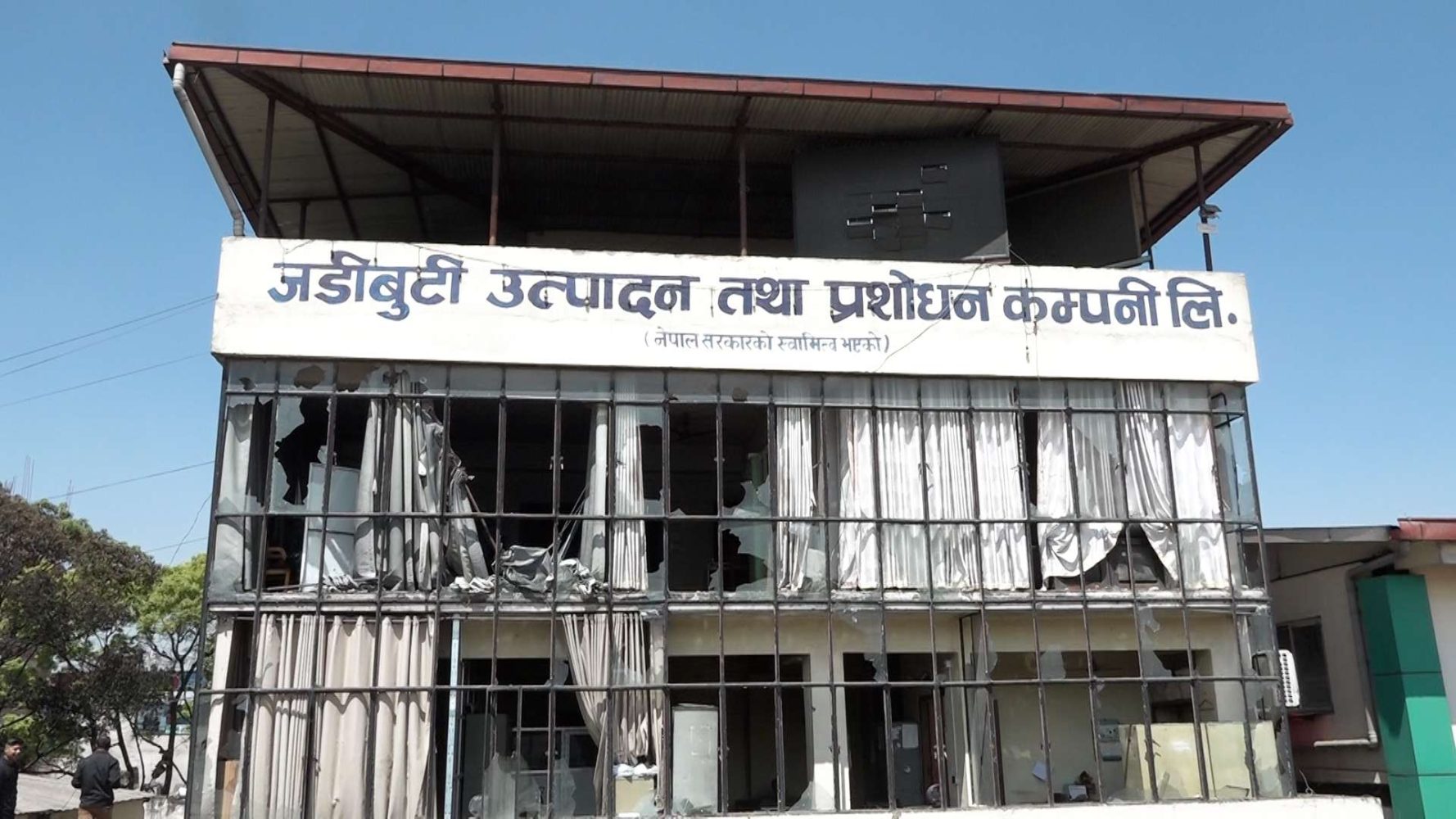 जडीबुटी कम्पनी चाँडै बौरिने छ