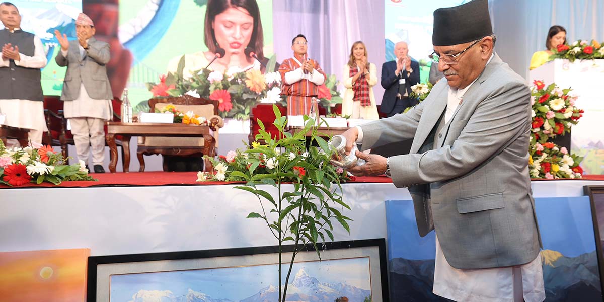 प्रचण्ड पार्टी काममा फर्किए