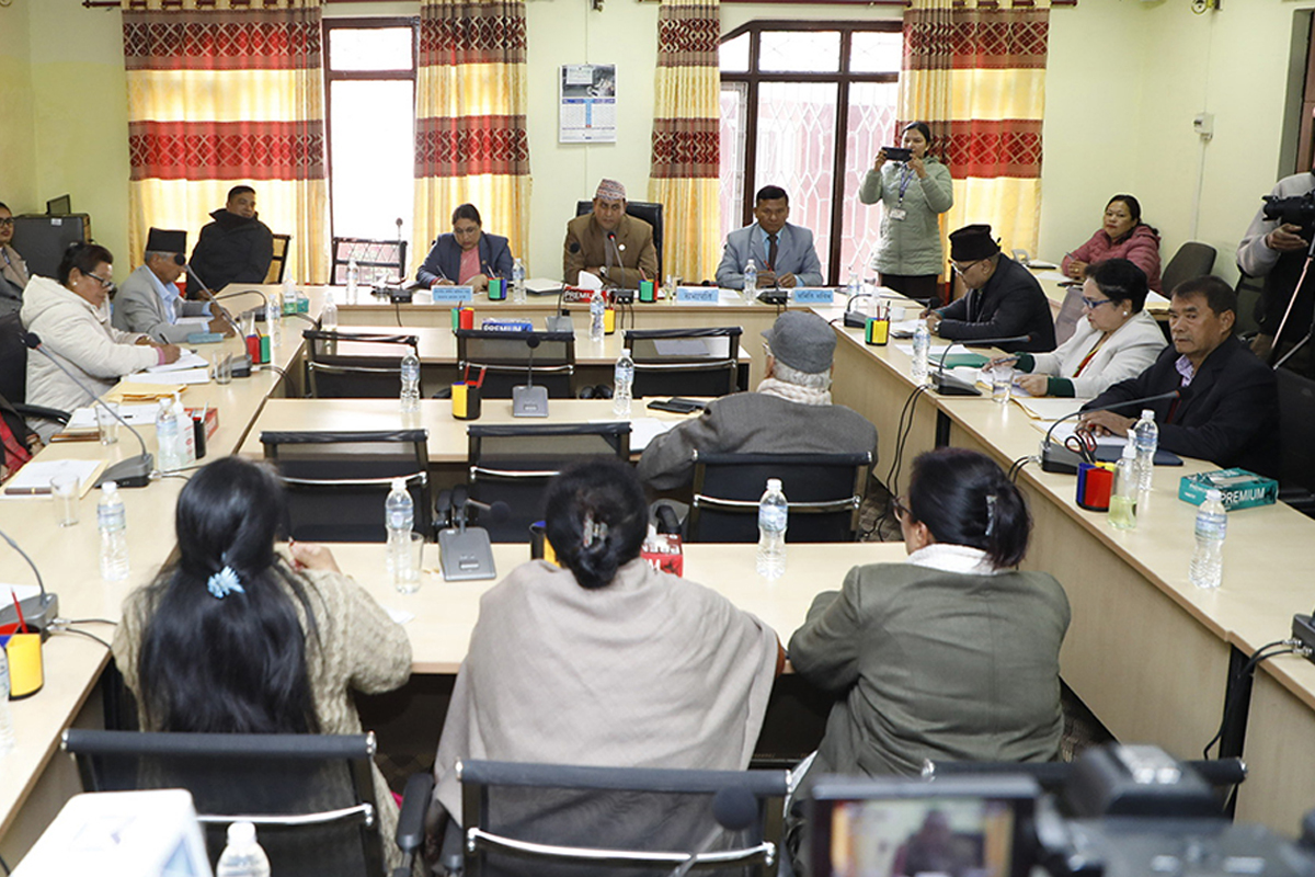 संघीय निजामतितर्फ ११ विषय रहनेमा जुट्यो सहमति