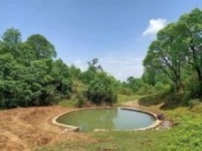 सामुदायिक वनमा ‘रिचार्ज पोखरी’ निर्माण र मूल संरक्षण गरिँदै