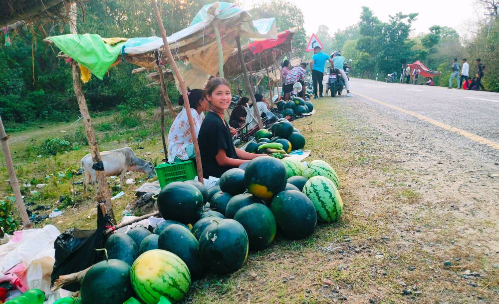 पोखरामा तरबुजा खेतीः चार महिनामा १५ लाख रूपैयाँ आम्दानी