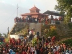 थानीमाई मन्दिरमा दुई सय डोली फूल भित्रिए