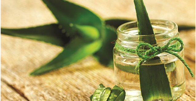 घरमै उमार्नुहोस् औषधि