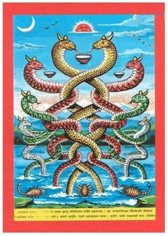 20270172_1462895003749309_453697586_n