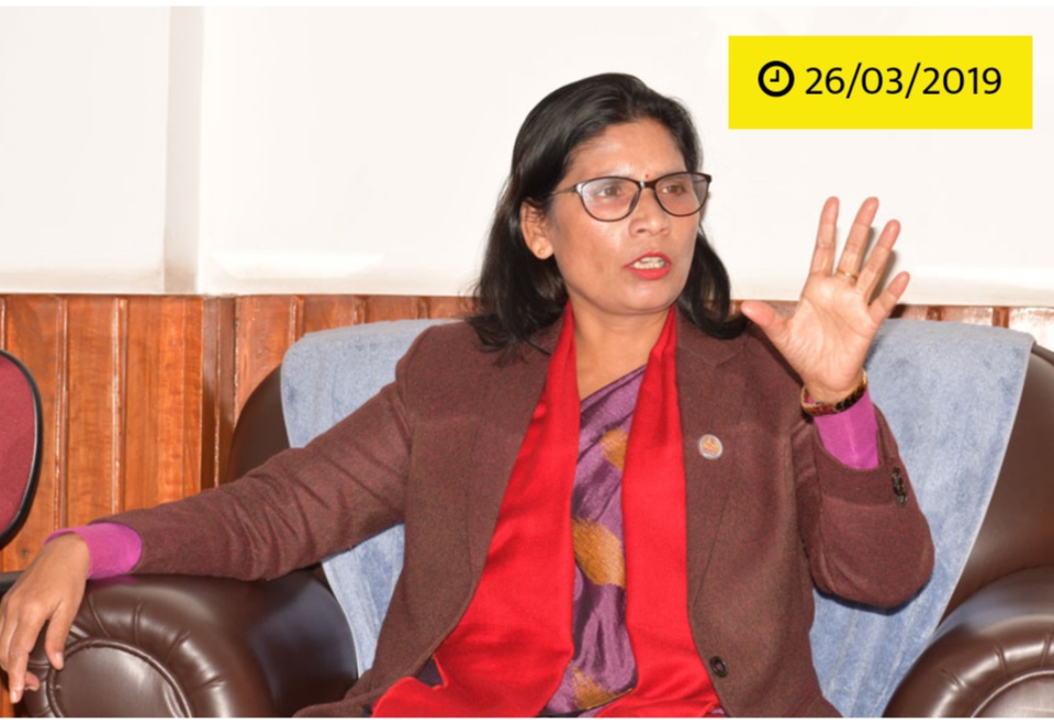 नेपाललाई बिदेशी युवाको आकर्षक थलोको रुपमा बिकाश गर्नुपर्छ मन्त्री अर्याल ।